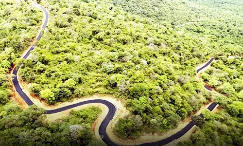 பீஞ்சமந்தை மலை கிராமத்திற்கு புதிய தார்சலையை அமைச்சர்கள் தொடங்கி வைத்தனர்