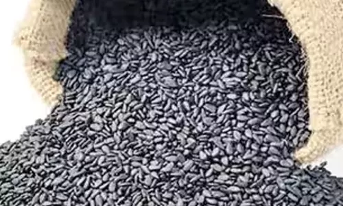 ரூ. 9.63 லட்சத்துக்கு எள் விற்பனை