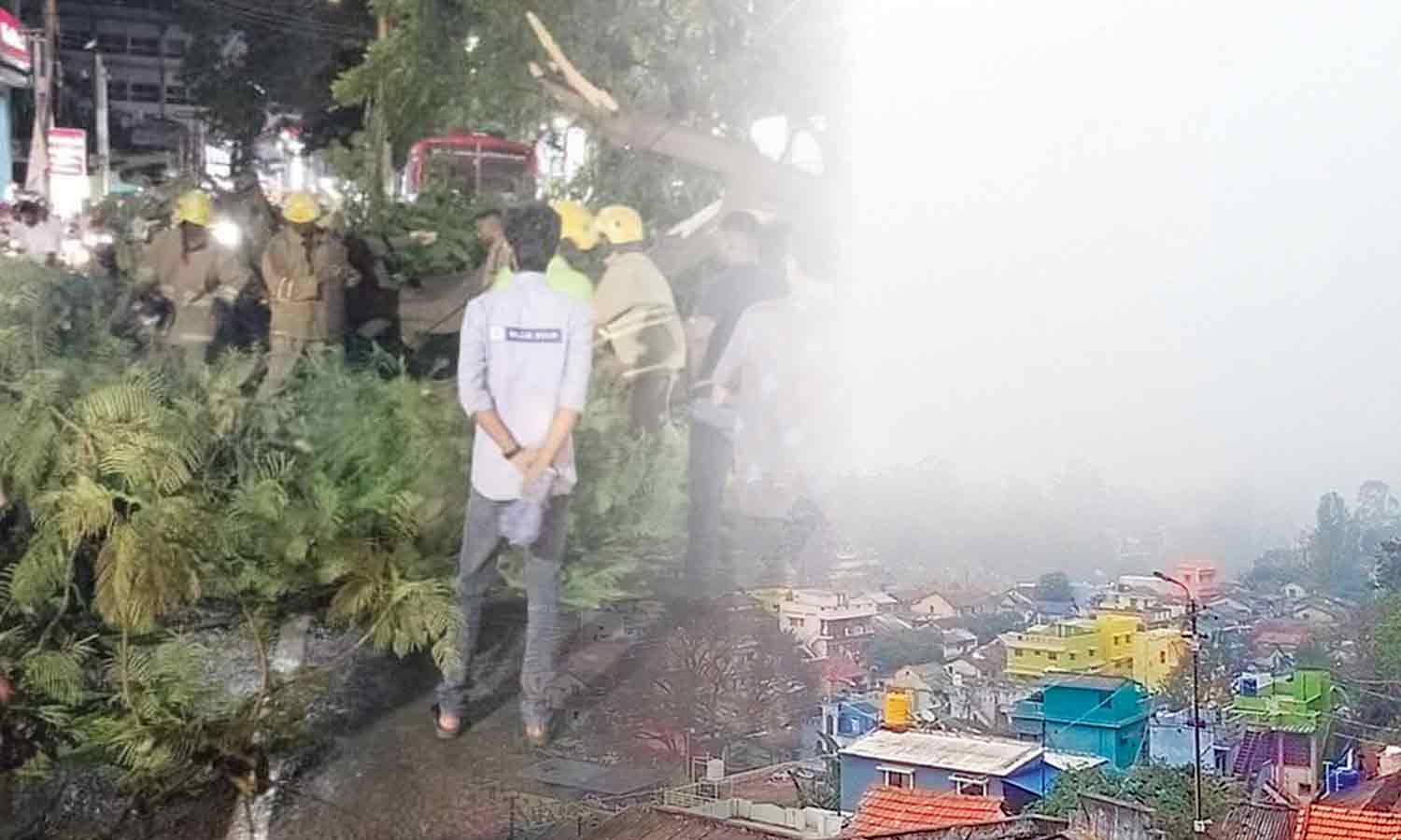 மாவட்டத்தில் மழை நீடிப்பு: சேலத்தை குளிர்வித்த மழை- மரம் சாய்ந்து சாலையில் விழுந்தது