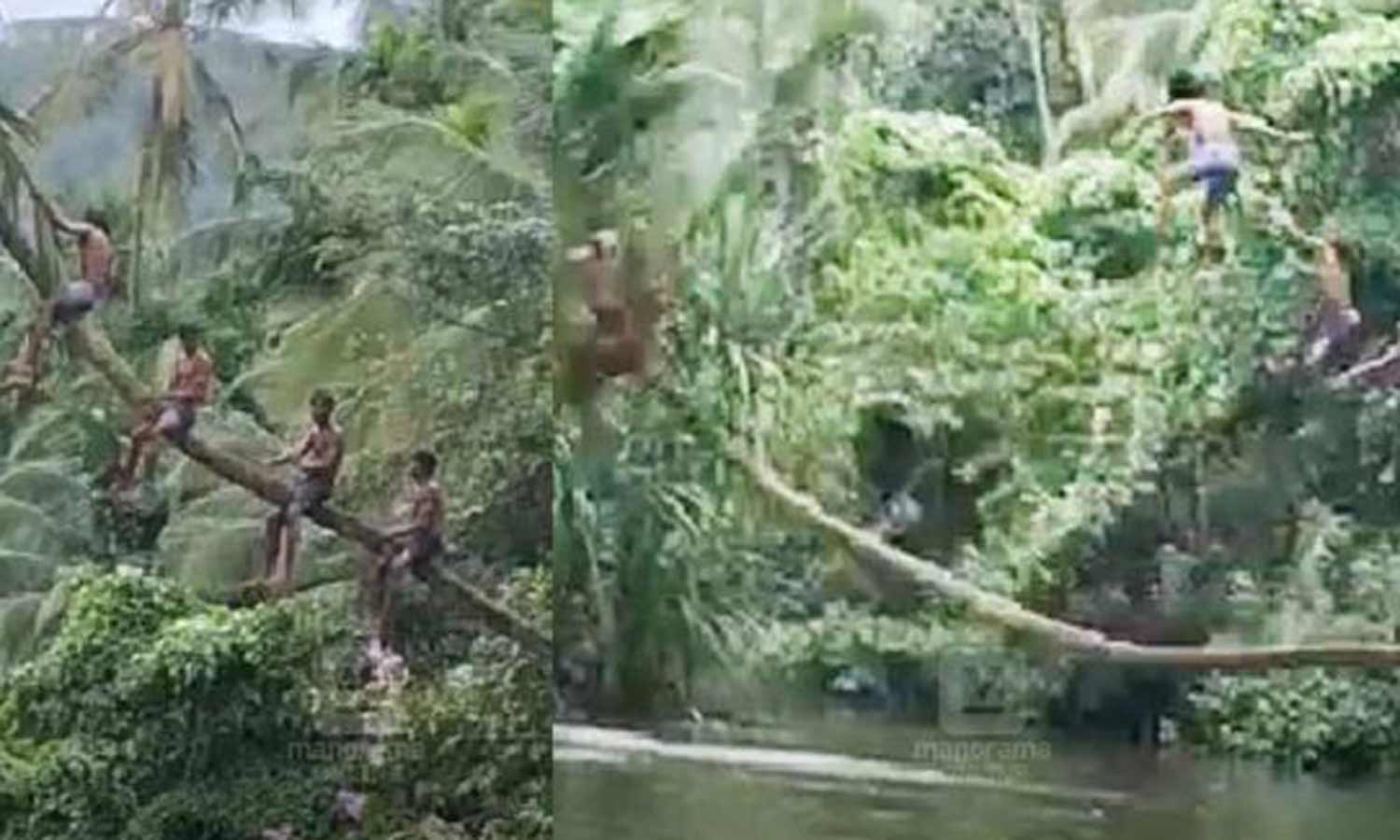 சமூகவலைதளங்களில் பதிவிட வீடியோ எடுத்தபோது மரம் முறிந்து ஆற்றுக்குள் விழுந்த வாலிபர்கள்