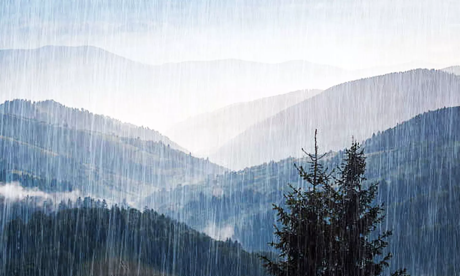 ஏலகிரி மலையில் சாரல் மழை ஏலகிரி மலையில் சாரல் மழை