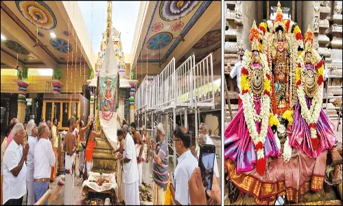 தாடிக்கொம்பு சவுந்தரராஜ பெருமாள் கோவில் தேரோட்டம் 1-ந்தேதி நடக்கிறது