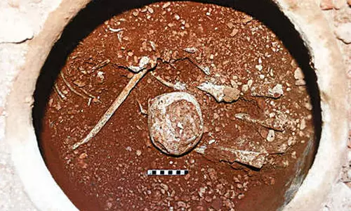 ஆதிச்சநல்லூர் அகழாய்வில் ஒரே முதுமக்கள் தாழியில் 2 எலும்புக்கூடுகள் கண்டெடுப்பு