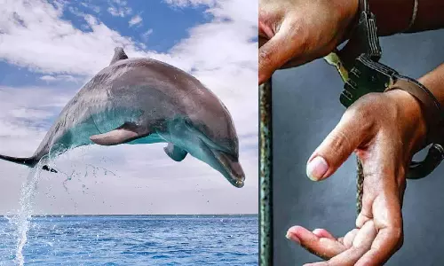 யமுனை நதியில் தற்செயலாக மீனவர் வலையில் சிக்கிய டால்பின்: சமைத்து சாப்பிட்டதால் கைது நடவடிக்கை