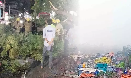 மாவட்டத்தில் மழை நீடிப்பு: சேலத்தை குளிர்வித்த மழை- மரம் சாய்ந்து சாலையில் விழுந்தது