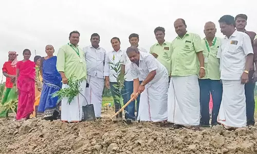 ராமதாஸ் பிறந்த நாளையொட்டி மரக்கன்று நடும் விழா