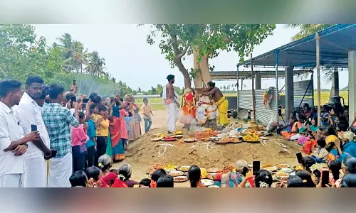 அரசு- வேம்பு மரங்களுக்கு திருமணம்