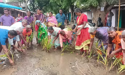 சாலையை சீரமைக்காததை கண்டித்து நாற்று நடும் போராட்டத்தில் ஈடுபட்ட பெண்கள்