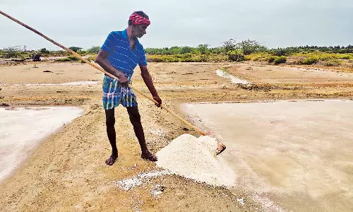 பருவம் தவறிய மழையால் உப்பு உற்பத்தி பாதிப்பு