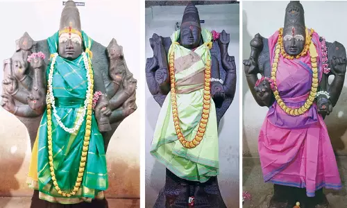 தஞ்சை ராஜகோபாலசாமி கோவிலில் சித்திரை நட்சத்திர வழிபாடு