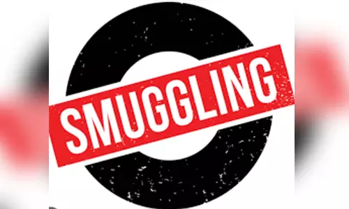 சேவூா் பத்ரகாளியம்மன் கோவிலில் சந்தன மரத்தை வெட்டி கடத்த முயன்றவர்கள்  மீது   நடவடிக்கை எடுக்க கோரிக்கை