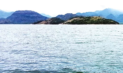 உடுமலை அமராவதி அணைக்கு நீர்வரத்து அதிகரிப்பு- விவசாயிகள் மகிழ்ச்சி