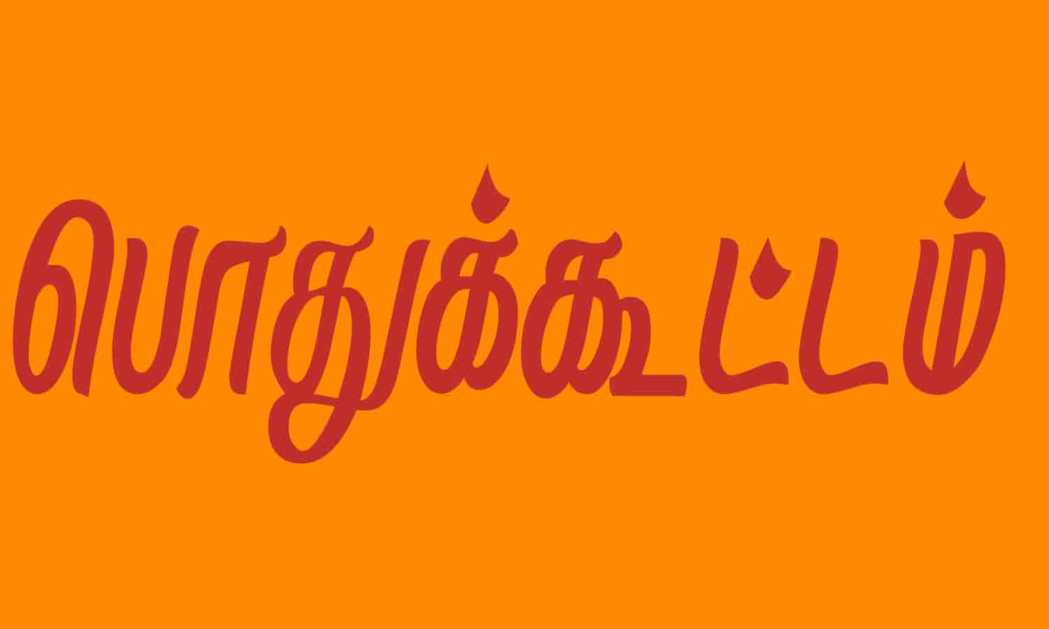 கருணாநிதி நூற்றாண்டு விழா தி.மு.க. பொதுக்கூட்டம்