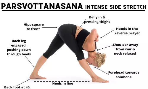 முதுகுத்தண்டை வலுவாக்கும் பார்ஸ்வ உத்தனாசனம்