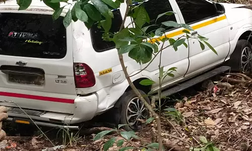 கொடைக்கானல் மலைப்பாதையில் பள்ளத்துக்குள் பாய்ந்த கார்