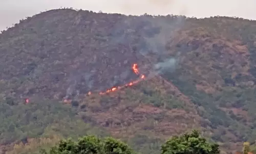 வருசநாடு அருகே பஞ்சந்தாங்கி மலையில் பற்றி எரியும் காட்டுத் தீ