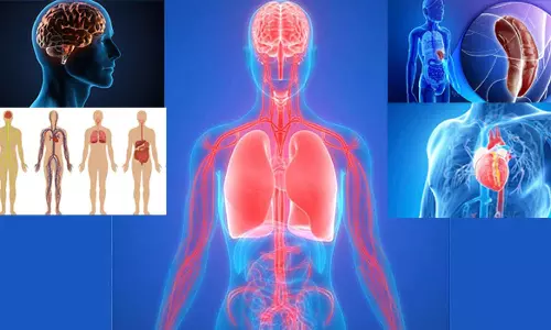 நான் இங்கு நலமே... நீ அங்கு நலமா? ஒன்றோடொன்று பேசிக்கொள்ளும் மனித உடல் உறுப்புகள்- ஐ.ஐ.டி. ஆராய்ச்சியாளர்கள் ஆய்வறிக்கையில் தகவல்