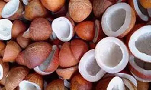 வெள்ளகோவிலில் ரூ.60 லட்சத்திற்கு தேங்காய் பருப்பு விற்பனை