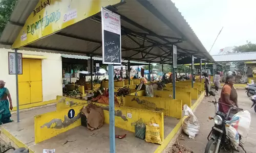 உழவர் சந்தையில் தக்காளி விற்பனை நிறுத்தம்