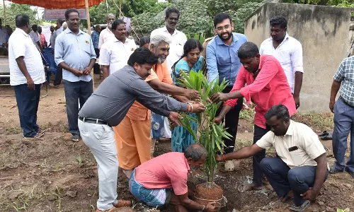 கடலூர் அருகே  எண்ணெய்ப்பனை கன்றுகள் கலெக்டர் அருண் தம்புராஜ் நட்டு தொடங்கி வைத்தார்