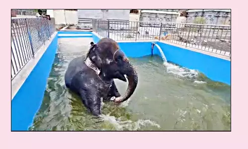 ராமேசுவரம் கோவில் யானை நீராட புதிய தொட்டி