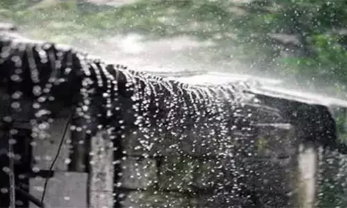 ஆணைமடுவு பகுதியில் 12 மி.மீ மழை பதிவு