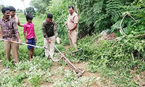 சேவலை விழுங்கிய 10 அடி நீள மலைப்பாம்பு