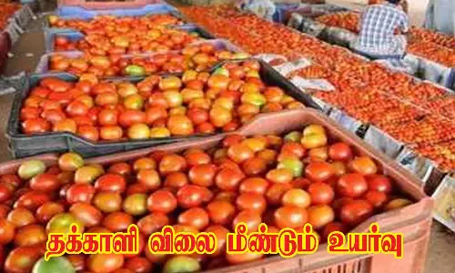 வேலூர் நேதாஜி மார்க்கெட்டில் தக்காளி விலை மீண்டும் உயர்வு