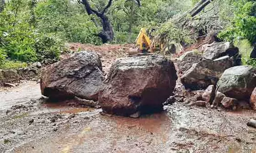 ஊட்டி-கூடலூர் சாலையில் மண்சரிவு