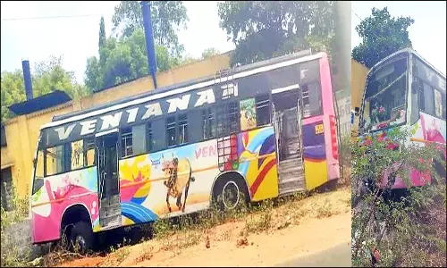 பேட்டையில் சாலையோர பள்ளத்தில் இறங்கிய தனியார் பஸ் சுவற்றில் மோதி நின்றது- டிரைவர் உள்பட 5 பயணிகள் காயம்