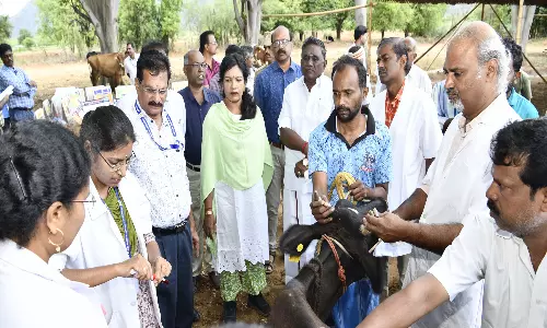ஆண்டிபட்டி அருகே கால்நடை சிறப்பு மருத்துவ முகாம்