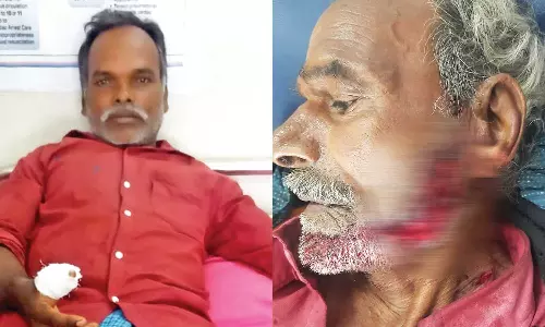 தோட்ட வேலைக்கு சென்ற விவசாயிகளை கரடி கடித்து குதறியது- வனத்துறையினர் முகாமிட்டு தேடுதல் வேட்டை