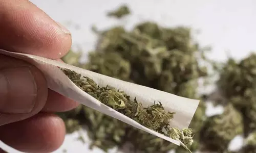 திருப்பூர் மாநகரில் கஞ்சா சப்ளை செய்த 2பேர் கைது