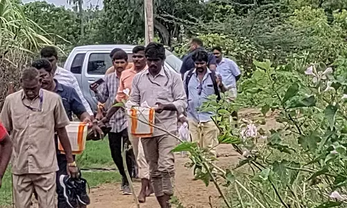 முட்புதரை அகற்றியபோது வெடித்ததில் 2 பேர் படுகாயம்: நாட்டு வெடிகுண்டுகளை பதுக்கியது ரவுடி கும்பலா?- போலீசார் தீவிர விசாரணை