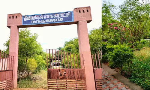 திண்டுக்கல்லில் புதர்மண்டி காணப்படும் மின் மயான ஈமக்கிரியை கூடம்
