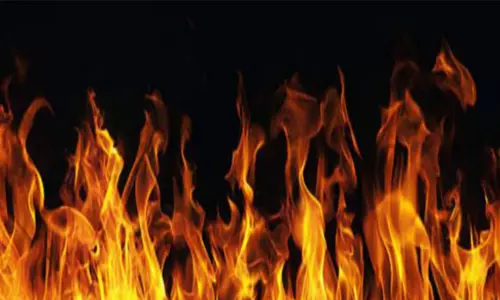 செடி கொடிகளில் திடீர் தீ