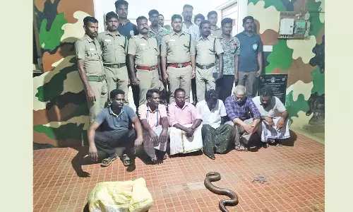கைதான மண்ணுளி பாம்பு கும்பலில் மேலும் சிலருக்கு தொடர்பு- வனத்துறை விசாரணையில் தகவல்