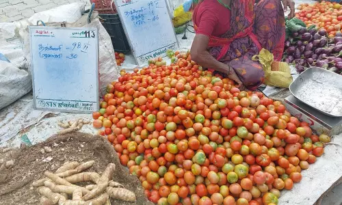 தருமபுரி உழவர் சந்தையில்  தரம் இல்லாத தக்காளிகள் பலரக விலையில் விற்பனை