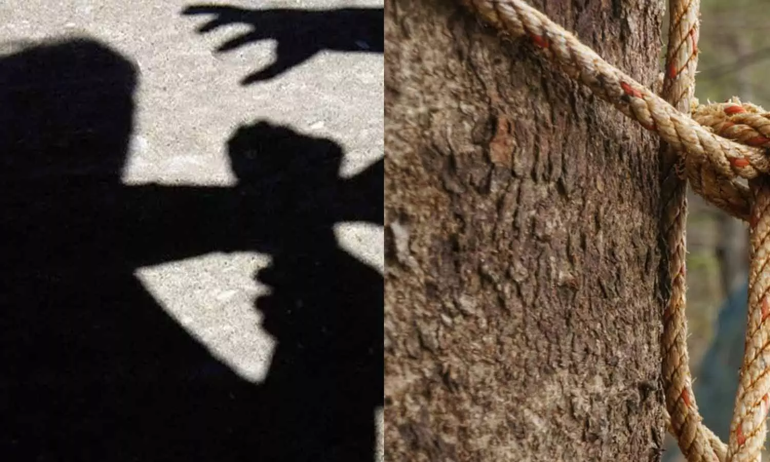 ஜார்க்கண்டில் பெண்ணை அரை நிர்வாணமாக்கி மரத்தில் கட்டி வைத்து தாக்கிய கொடூரம் ஜார்க்கண்டில் பெண்ணை அரை நிர்வாணமாக்கி மரத்தில் கட்டி வைத்து தாக்கிய கொடூரம்