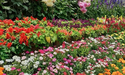 சென்னைக்கு அருகில் தாவரவியல் பூங்கா- இங்கிலாந்து அரசுடன் தமிழ்நாடு அரசு புரிந்துணர்வு ஒப்பந்தம்