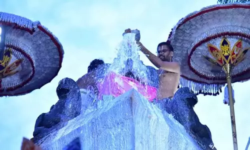 ஆழ்வார்திருநகரி கோவிலில் ஆடிசுவாதி திருவிழா: கருடாழ்வாருக்கு பாலாபிஷேகம்