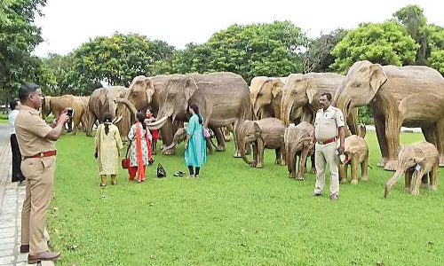 மாமல்லபுரம் கடற்கரை கோவில் வளாகத்தில் மூங்கில் யானை சிலைகள்