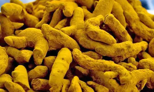 ஈரோட்டில் மஞ்சள் விலை உயர்வால் விவசாயிகள் மகிழ்ச்சி- குவிண்டால் ரூ.2 ஆயிரம் வரை உயர்வு