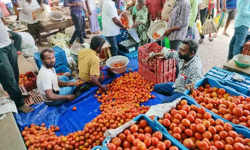 திண்டுக்கல்லில் தக்காளியை வாங்க அலைமோதிய மக்கள் கூட்டம்
