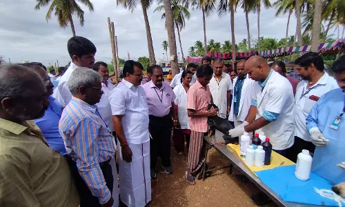 க.பரமத்தியில்  கால்நடை மருத்துவ முகாம்