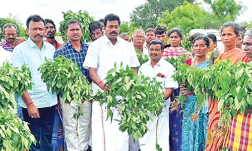 கொளத்தூரில்  விவசாயிகள் சாலை மறியல்