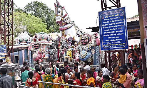 அம்மன் கோவில்களில் பக்தர்கள் தரிசனம்