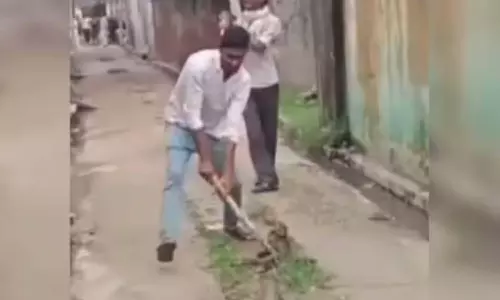 குரங்கு குட்டியை துடிக்க துடிக்க அடித்துக்கொன்ற வாலிபர்கள்