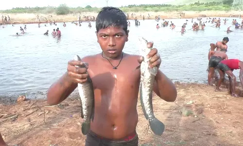 13 ஆண்டுகளுக்கு பின் நடைபெற்ற மீன்பிடி திருவிழா