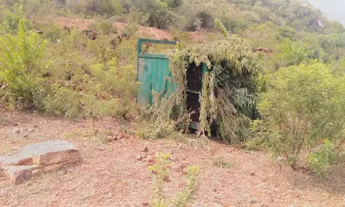 கால்நடைகளை வேட்டையாடிய சிறுத்தையை பிடிக்க கூண்டு வைப்பு